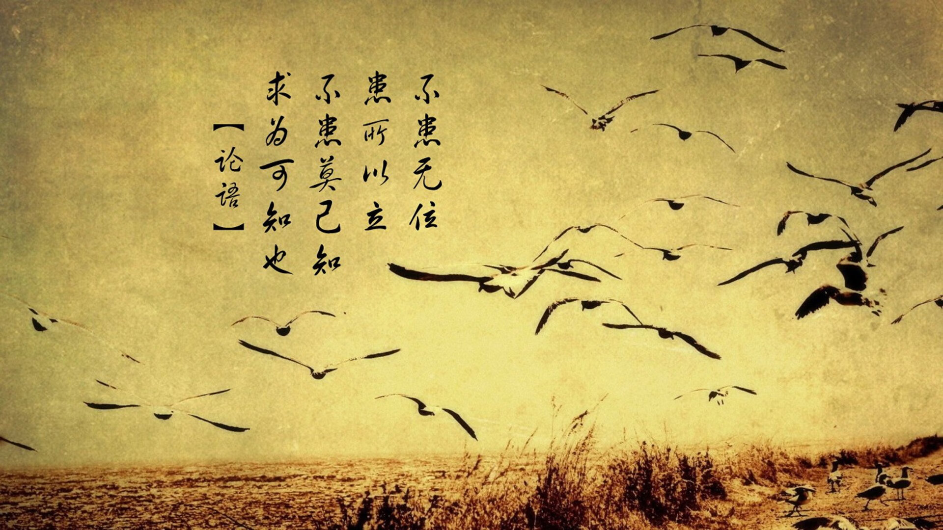 世界拳击青少年训练营医护保障与急救流程优化稿,青少年拳击训练大纲
